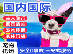 抚远空运地址国际宠物托运 【国